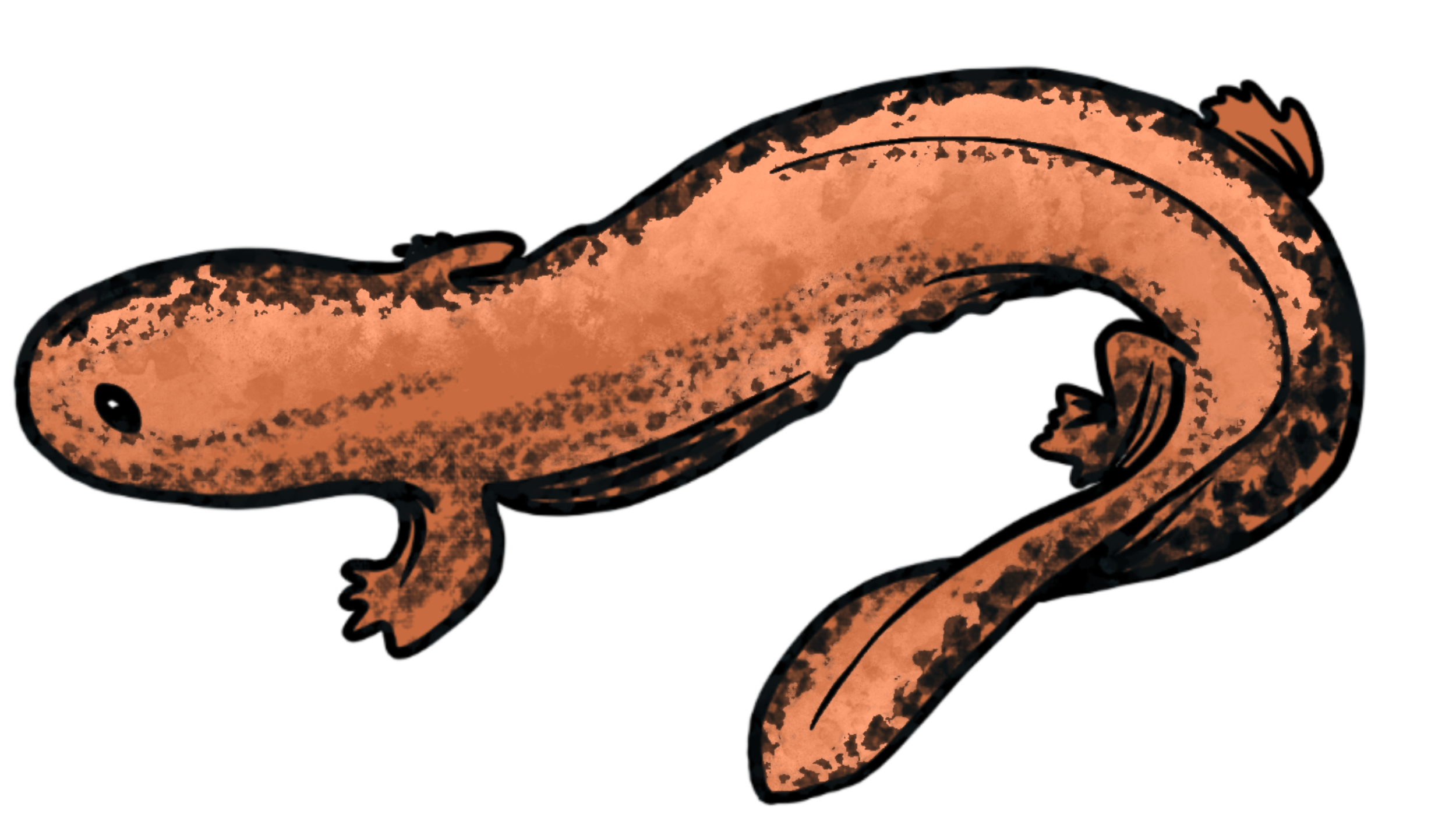 The Last Hellbender